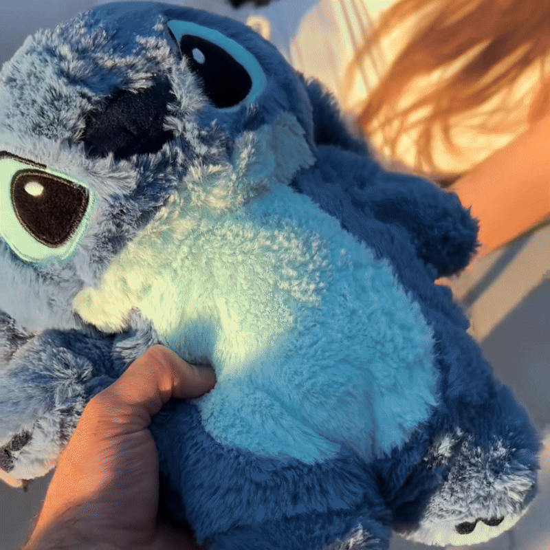 Stitch Cute Warm Bag - Windistar™️